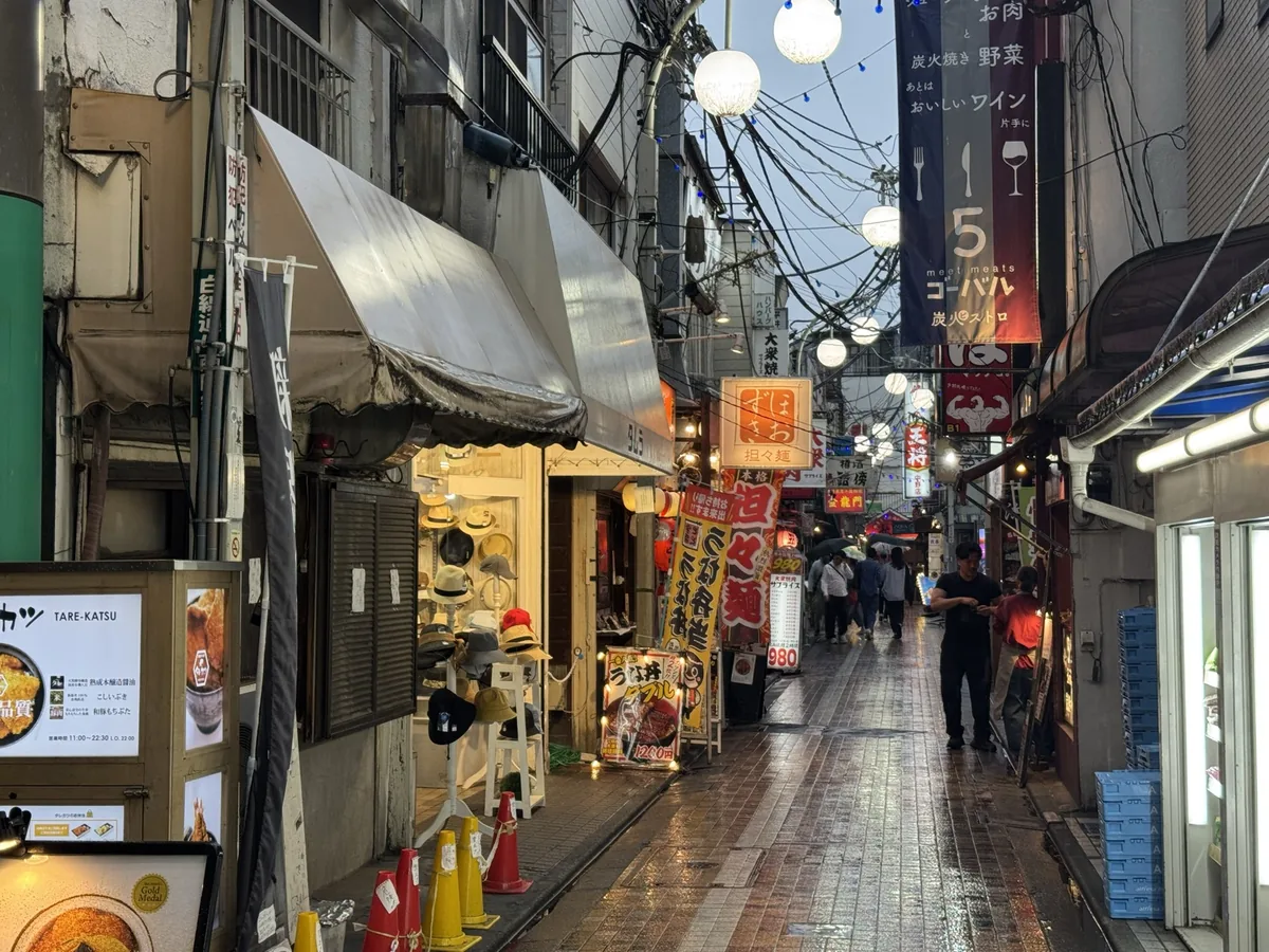 雨の夜の中野飲み屋街、ゴーバル看板